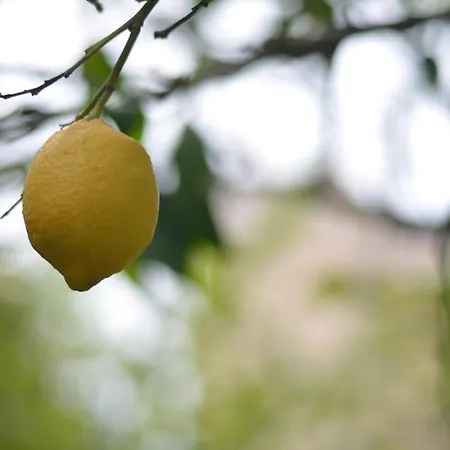 Akti Anastasia Plage d'Almiros