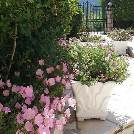 Akti Anastasia Apartment Acharavi (Corfu)